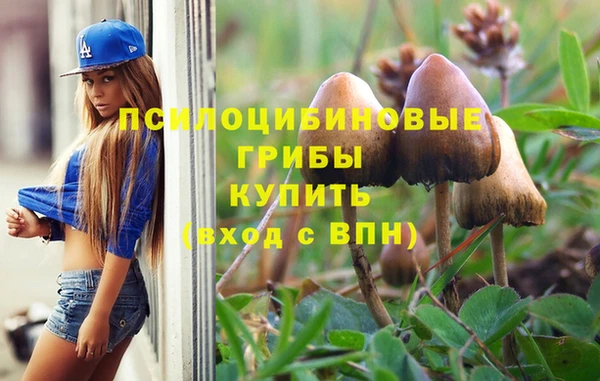 гидропоника Белокуриха