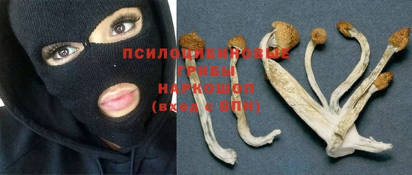 гидропоника Белокуриха